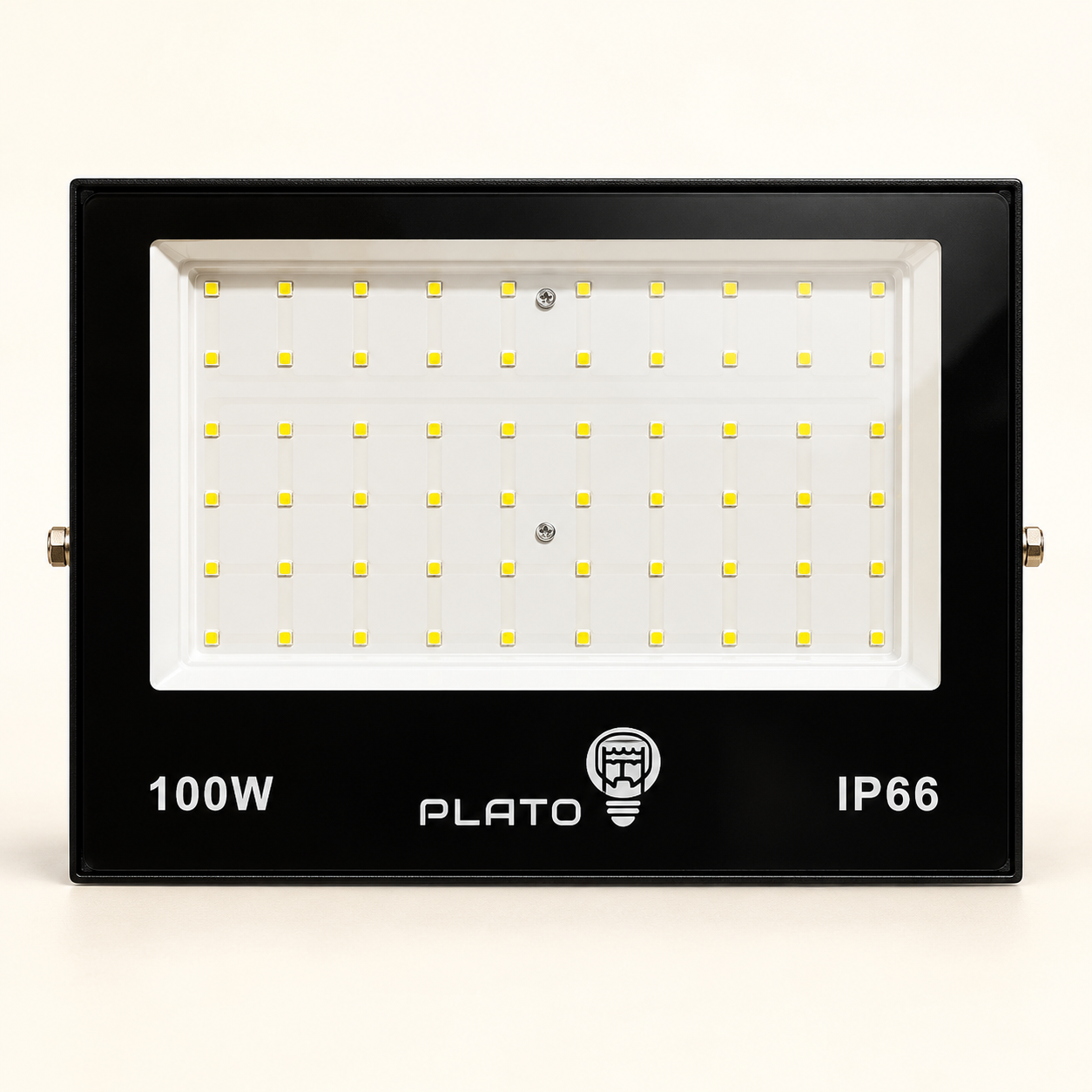 PLATO Rainbow Apple 100W floodlight — taa ya nje, picha ya mfano wa katalogi